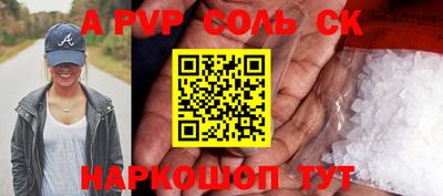 амф Сланцы