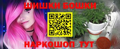 амф Сланцы