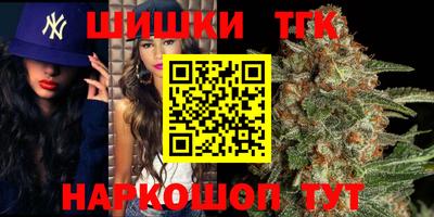 амф Сланцы