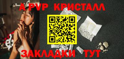 амф Сланцы