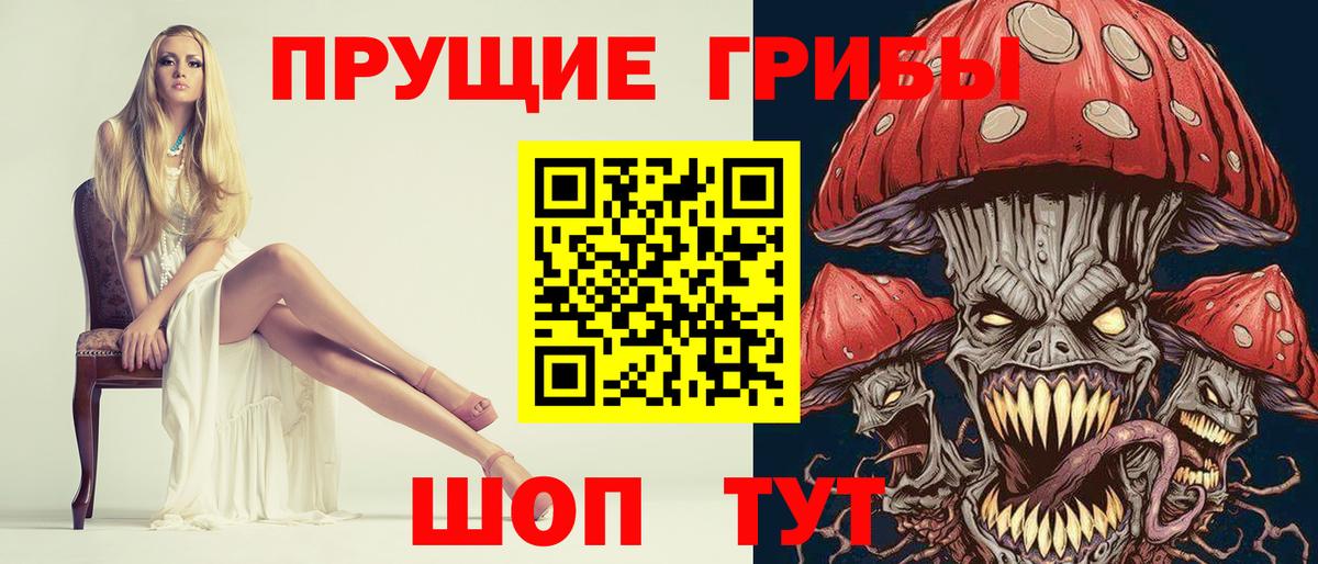 Павловский Посад  Псилоцибиновые грибы Psilocybe  Вход с VPN 